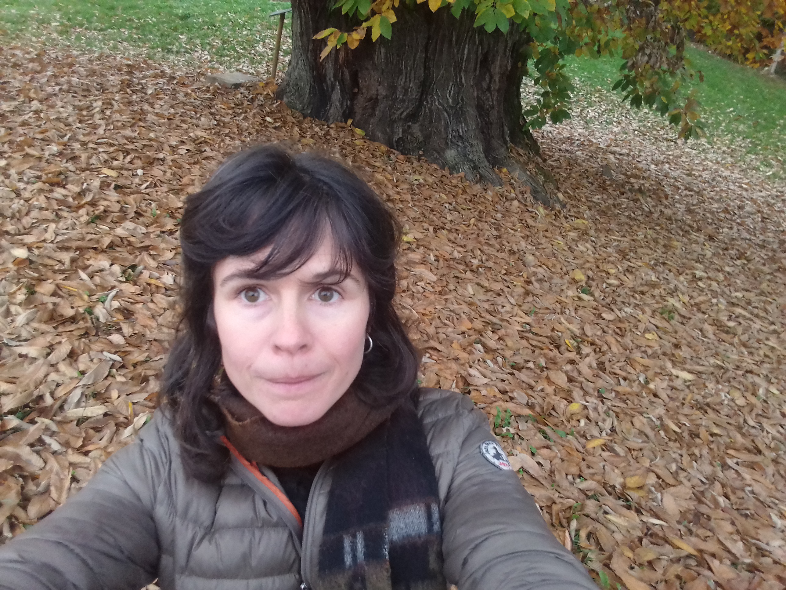 Mathilde Roy - Collectif MicroFocus