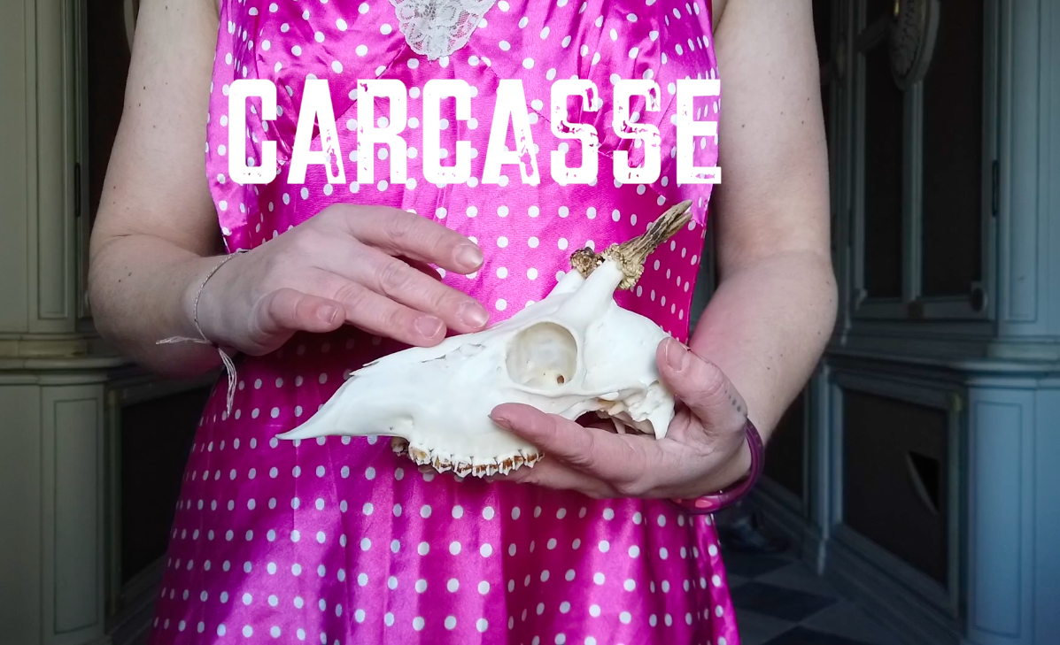 Carcasse - MicroFocus
